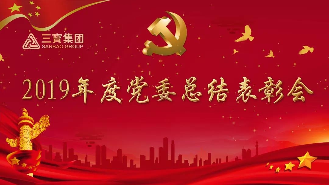萬(wàn)眾一心加油干，不負(fù)韶華勇向前｜三寶集團(tuán)黨委召開(kāi)2019年度總結(jié)表彰會(huì)